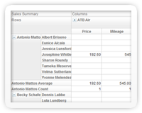 Embed ZK Pivottable