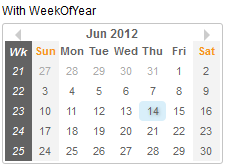 ZKComRef Calendar Week Of Year.PNG
