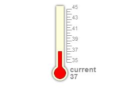 Thermometer.jpg