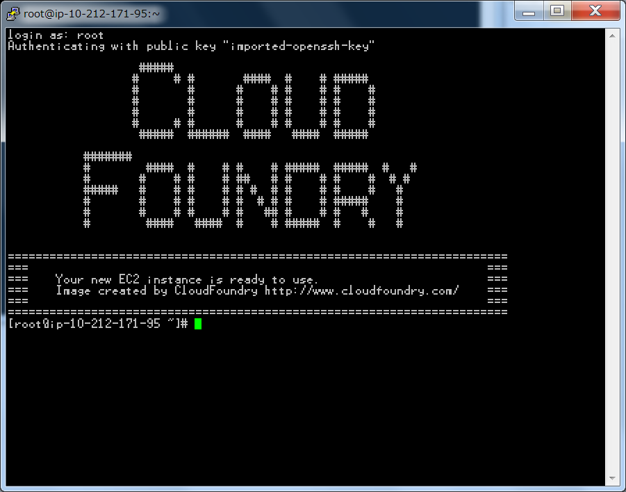 CloudFoundry.png