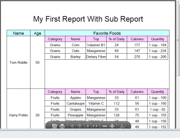 IReport-sample2-12.png