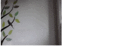 Thumbnail for version as of 08:13, 25 October 2018
