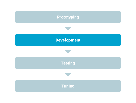 Rapid Development